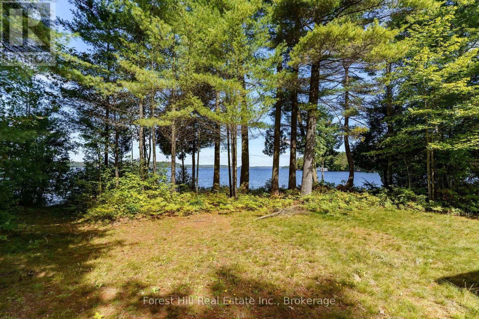 2 - 2991 MUSKOKA RD 117 ROAD photo 3