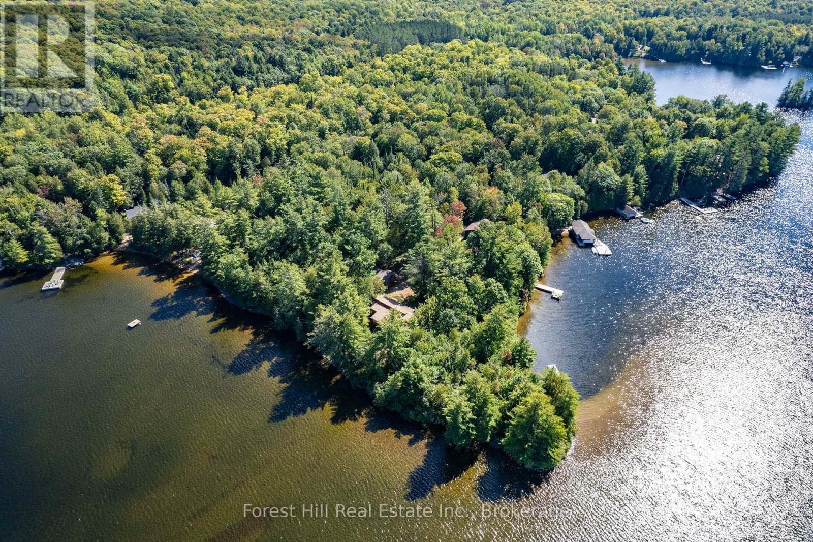 2 - 2991 MUSKOKA RD 117 ROAD photo 4