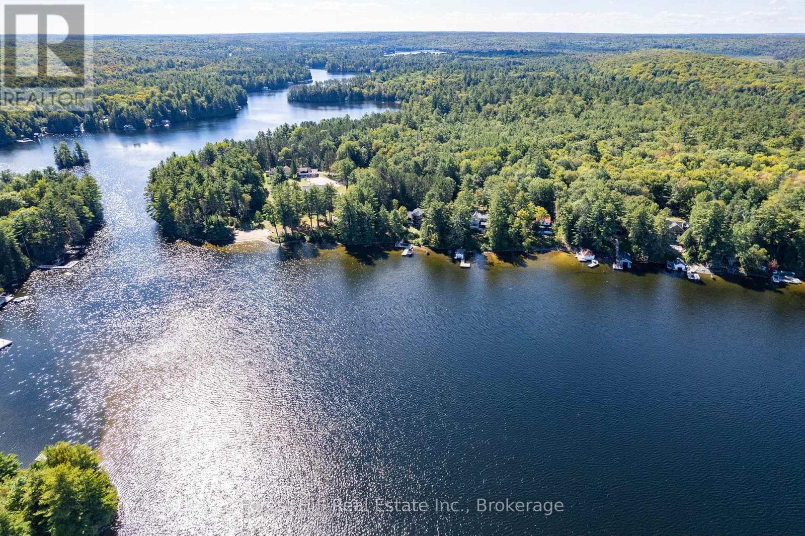 2 - 2991 MUSKOKA RD 117 ROAD photo 5