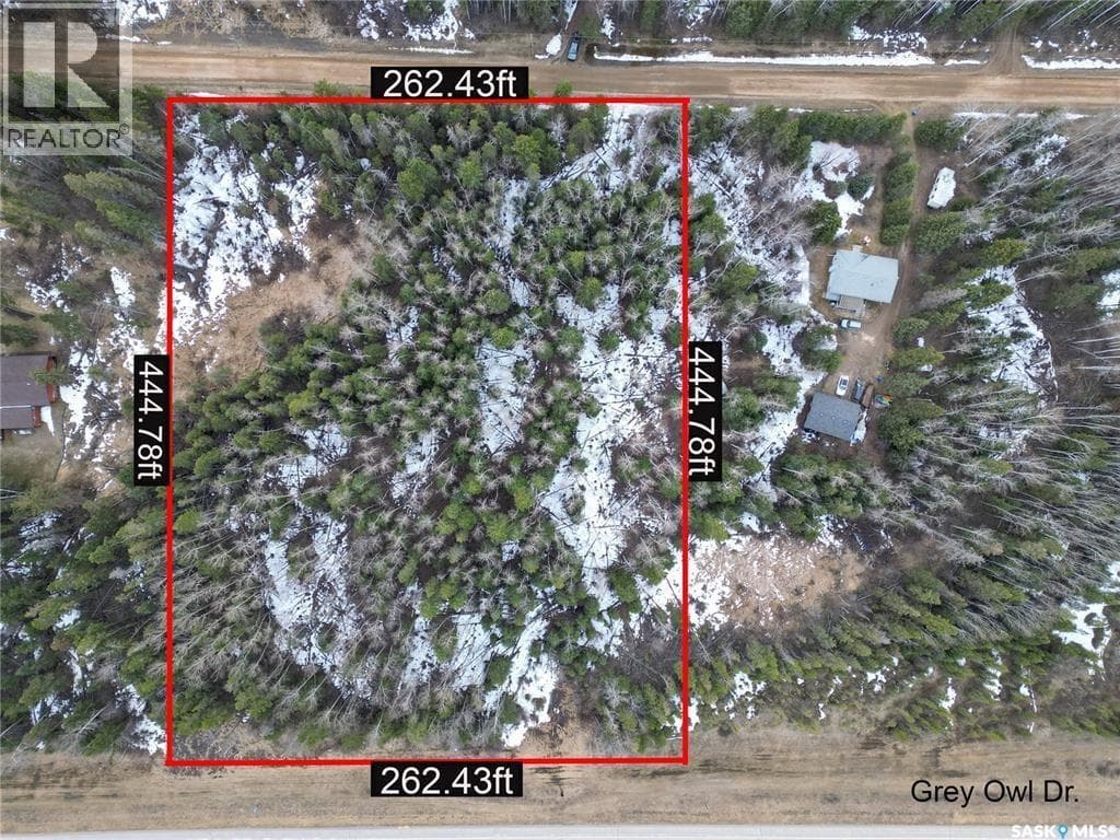 248 Grey Owl DRIVE — photo 2
