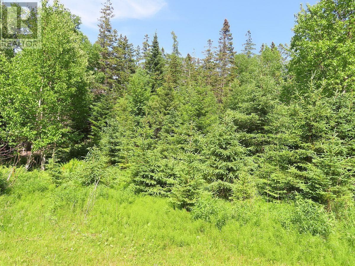 99-5 72 Naturer Dream P Boulevard photo 2