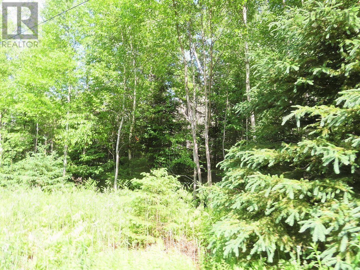 99-5 72 Naturer Dream P Boulevard photo 5