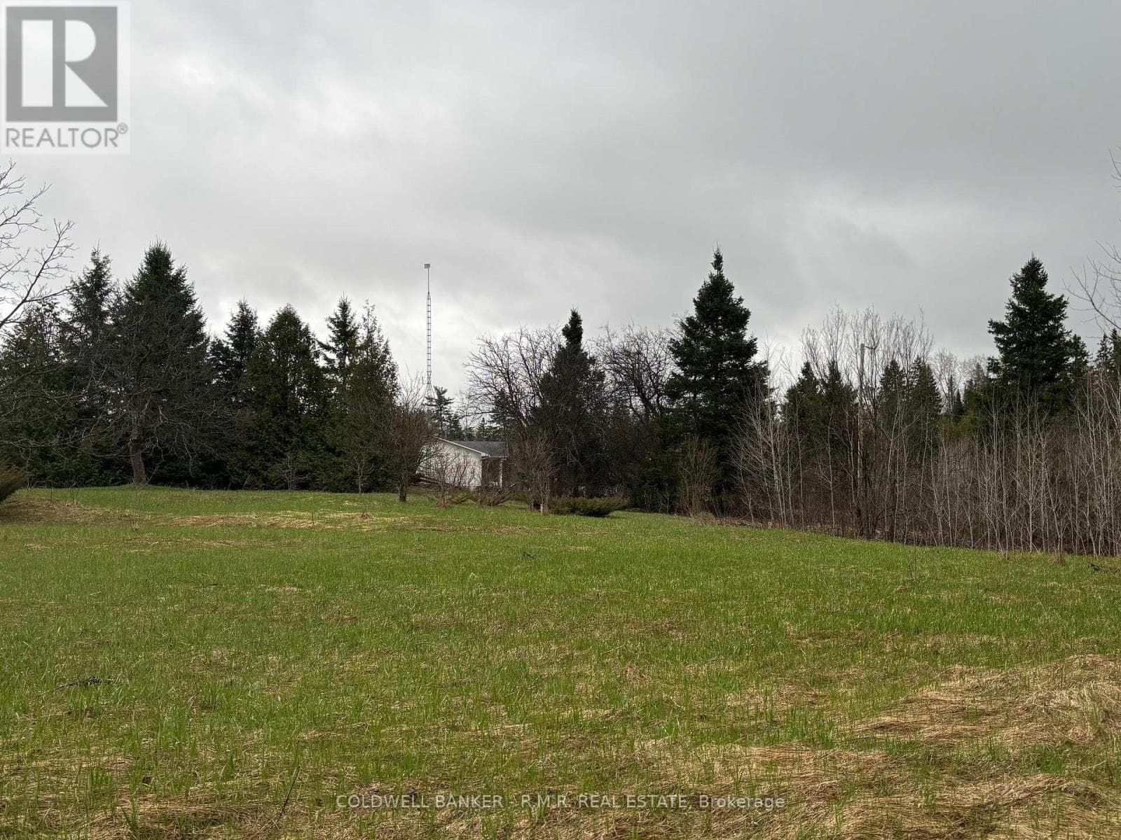 11369 AND 11501 CONCESSION RD 3 ROAD photo 4