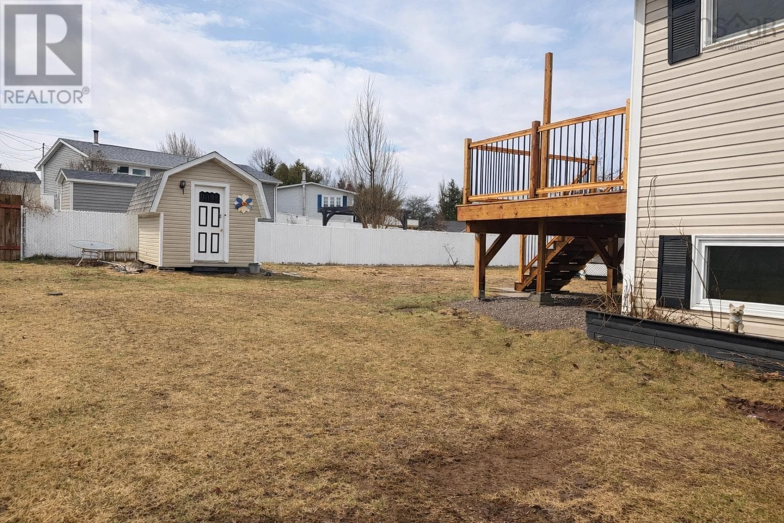 20 Dickey Street photo 5