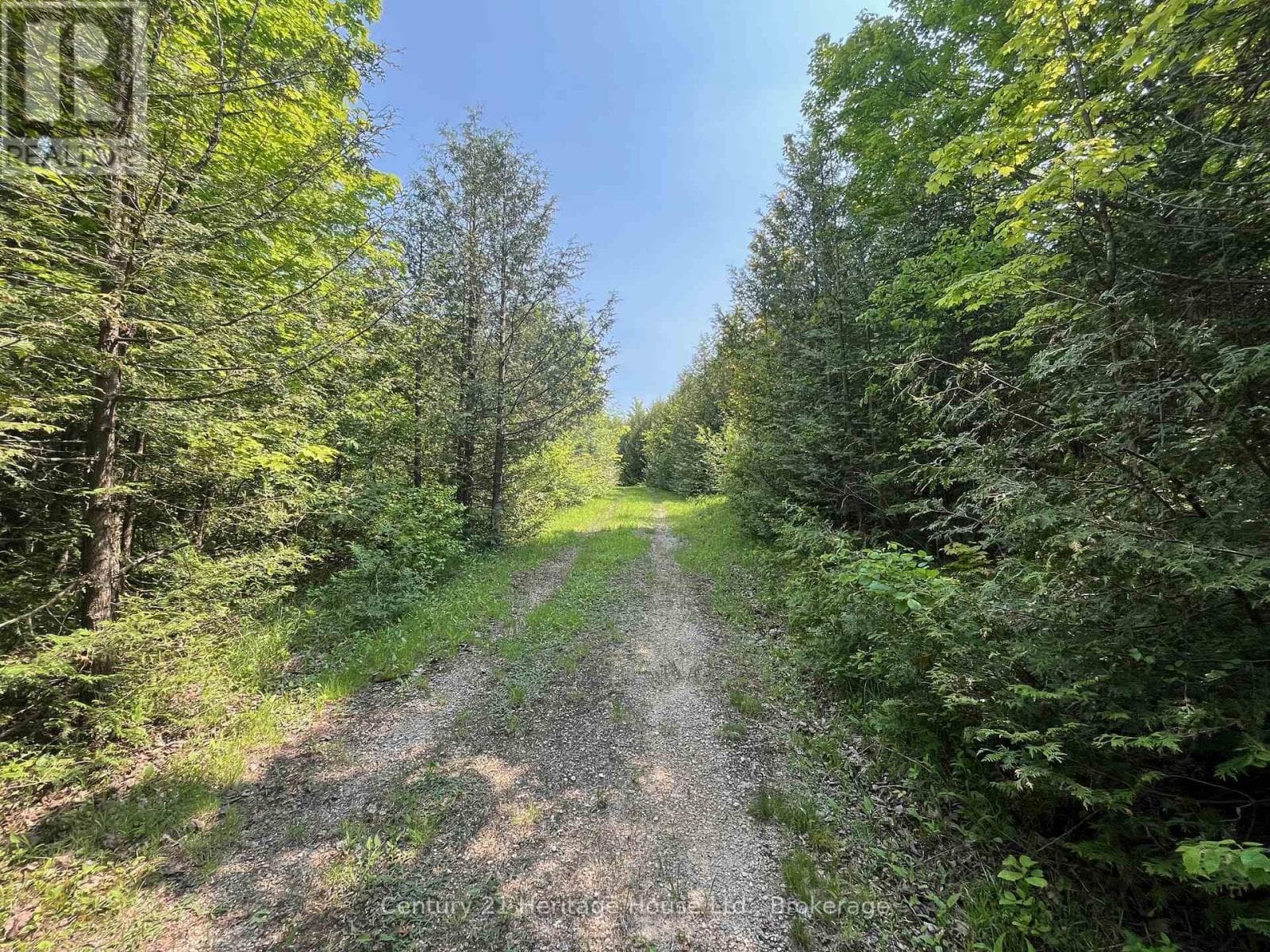502774 SIDEROAD 9 WGR photo 2
