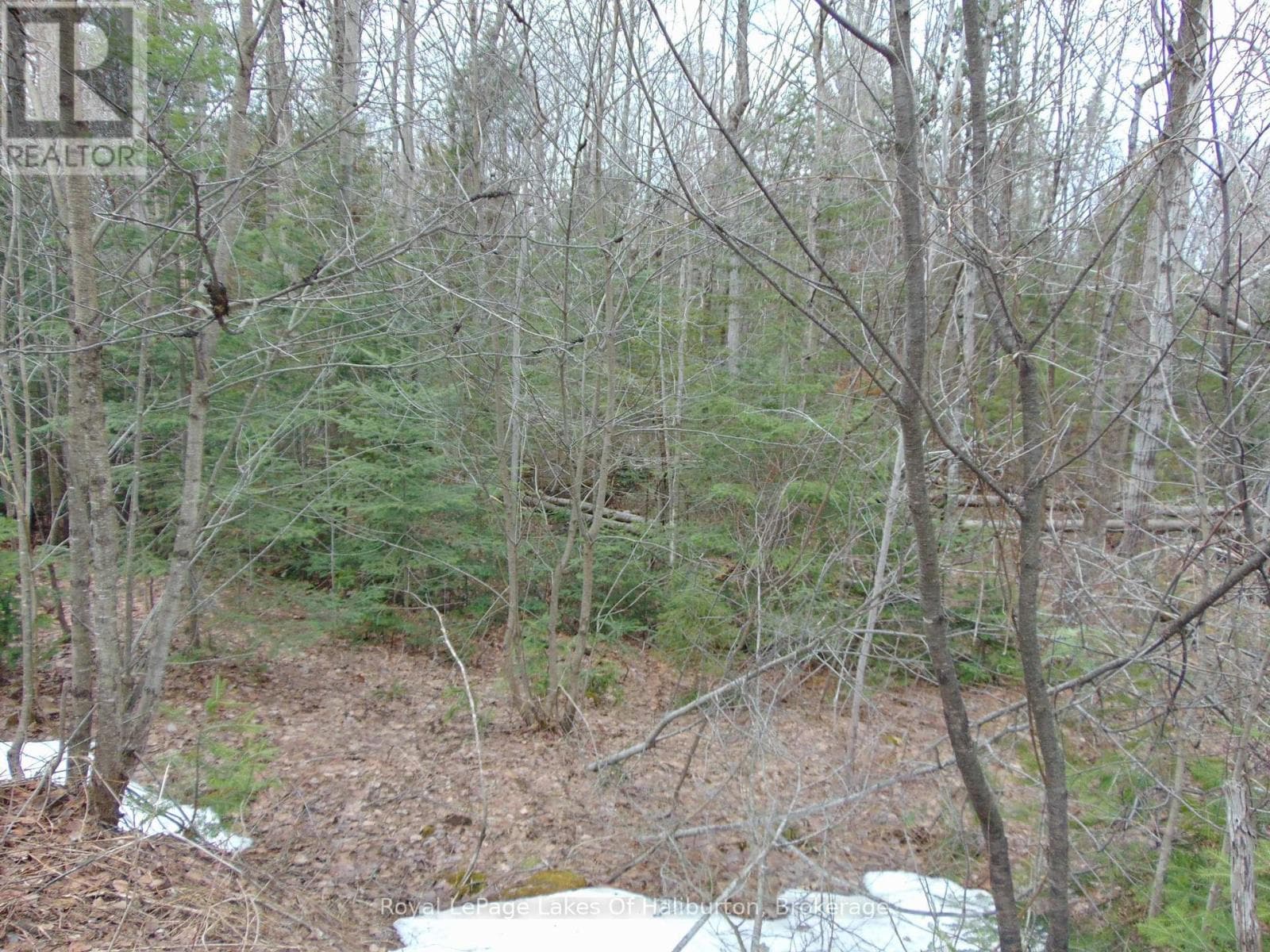 LOT 11 PLAN 580 NORTH DRIVE photo 3