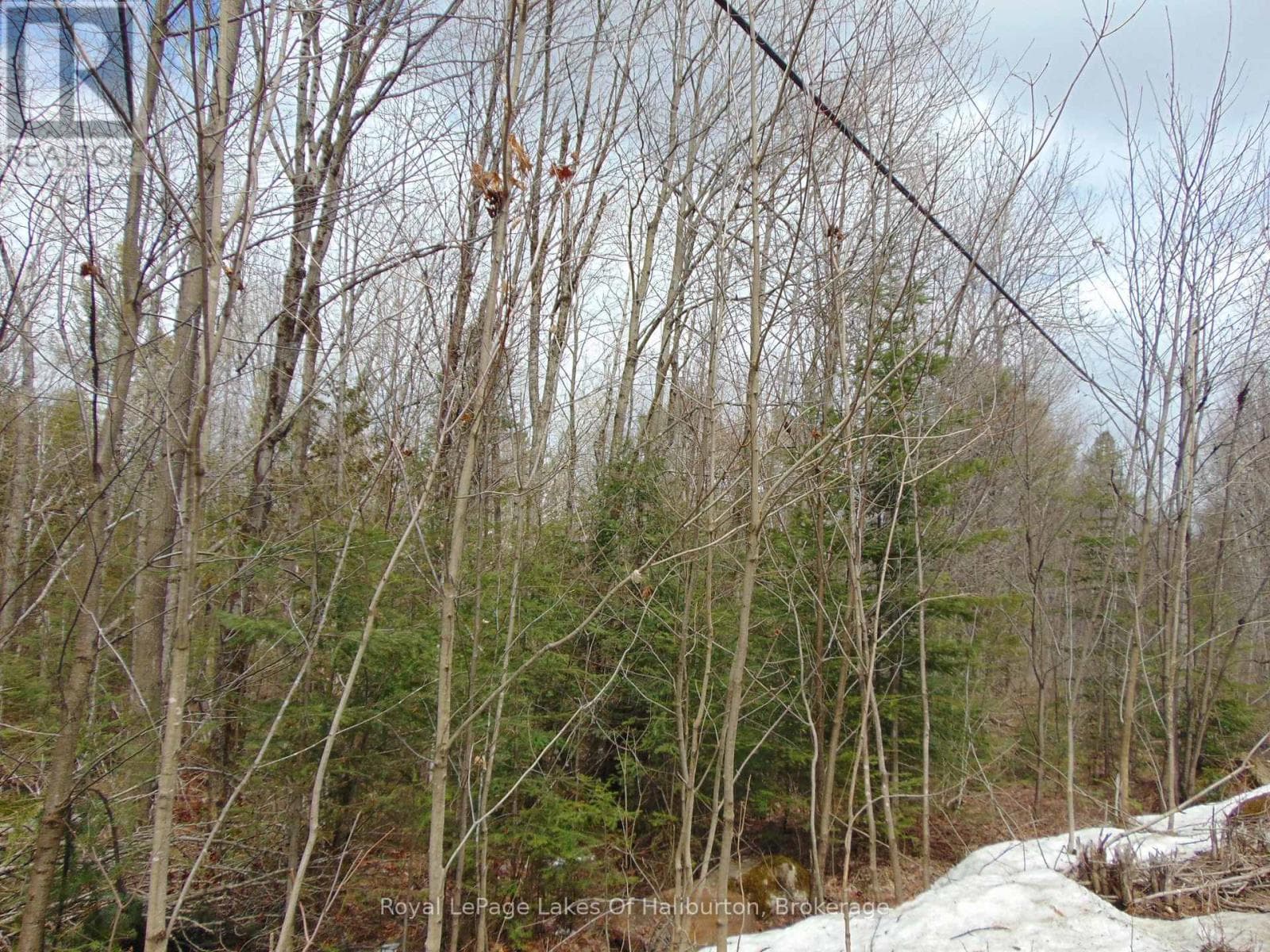 LOT 11 PLAN 580 NORTH DRIVE photo 2