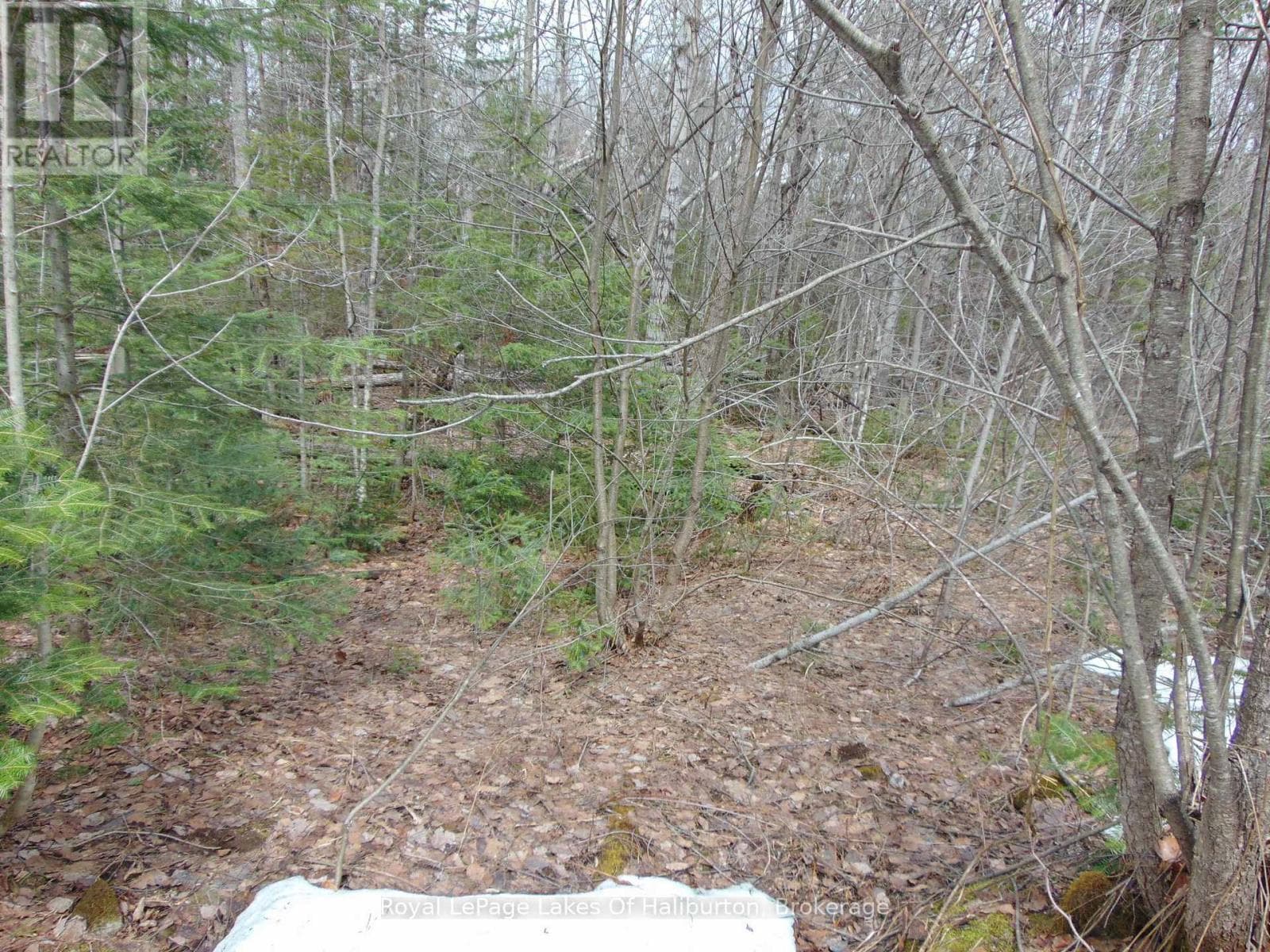 LOT 11 PLAN 580 NORTH DRIVE photo 5