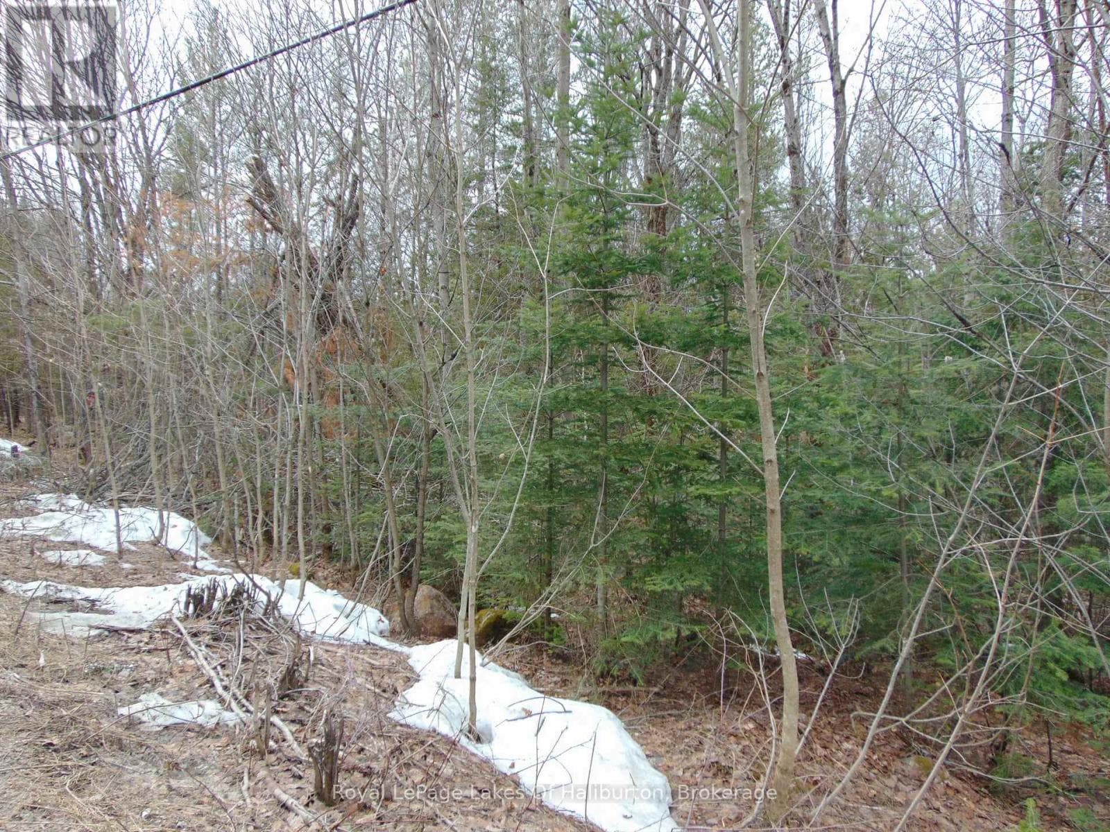 LOT 11 PLAN 580 NORTH DRIVE photo 4