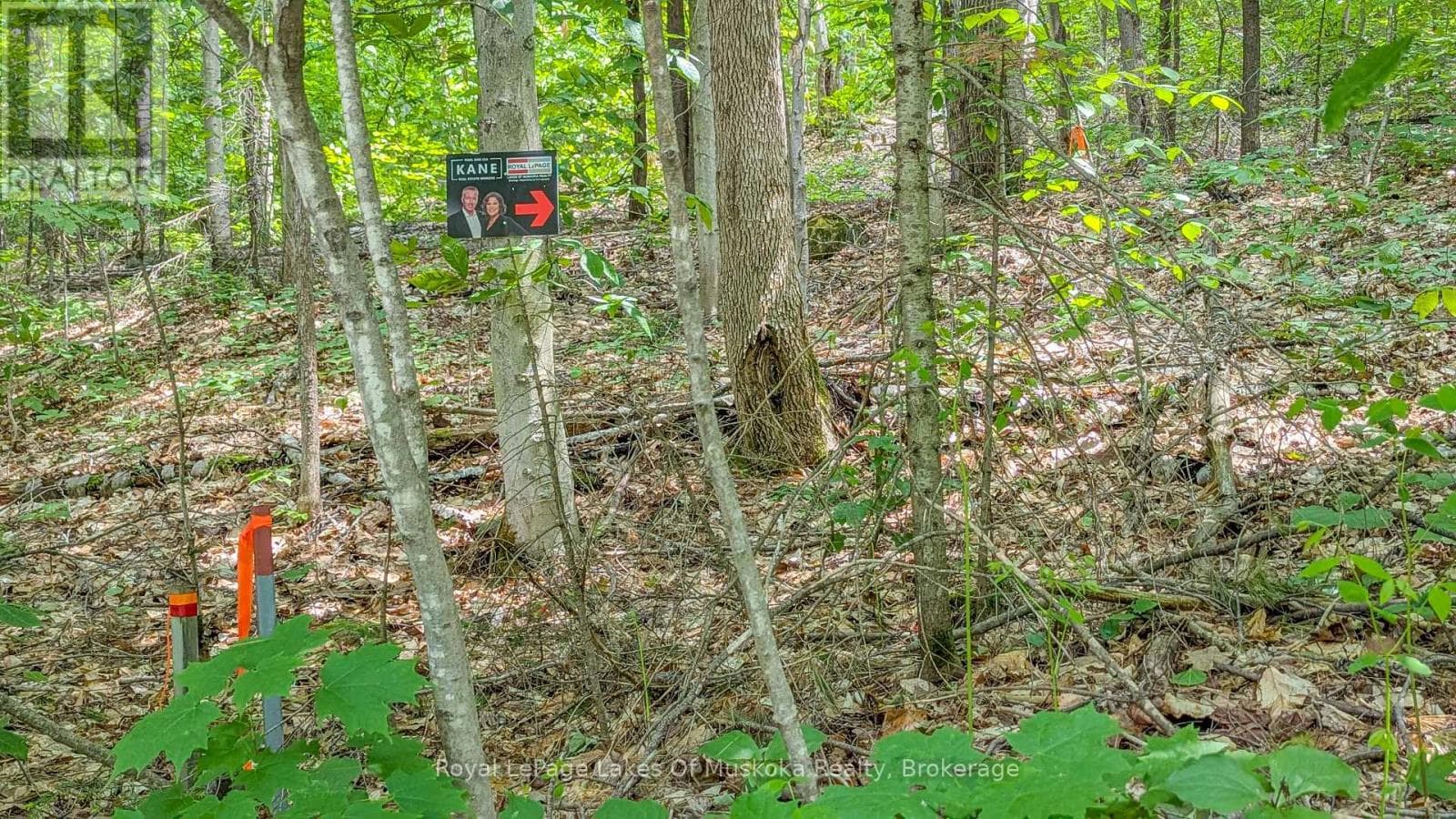 vacant land at 0 ROSSEAU LAKE RD 1 — $139,000