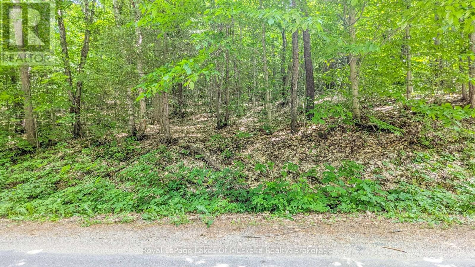 0 ROSSEAU LAKE RD 1 photo 3