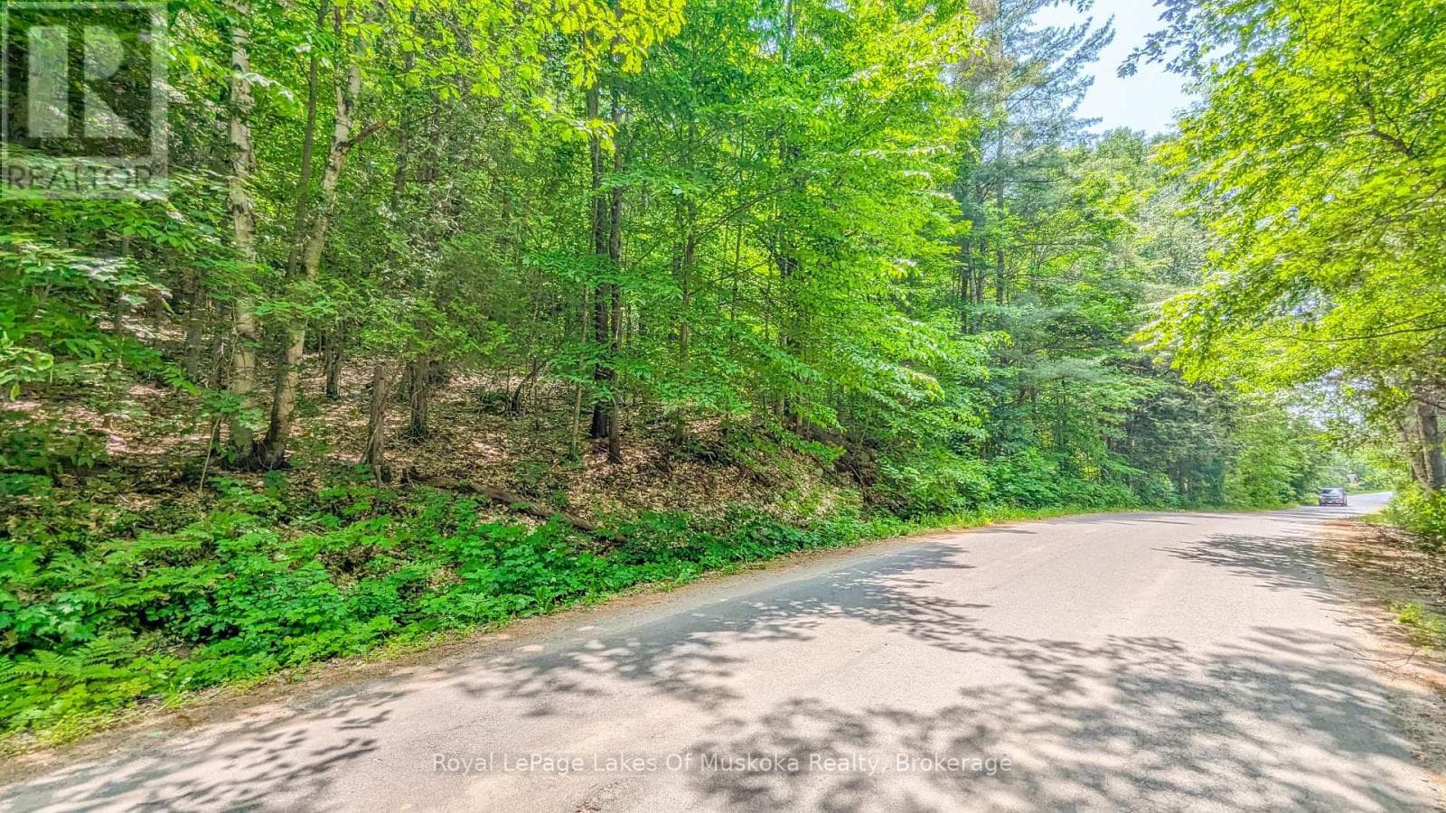 0 ROSSEAU LAKE RD 1 photo 2