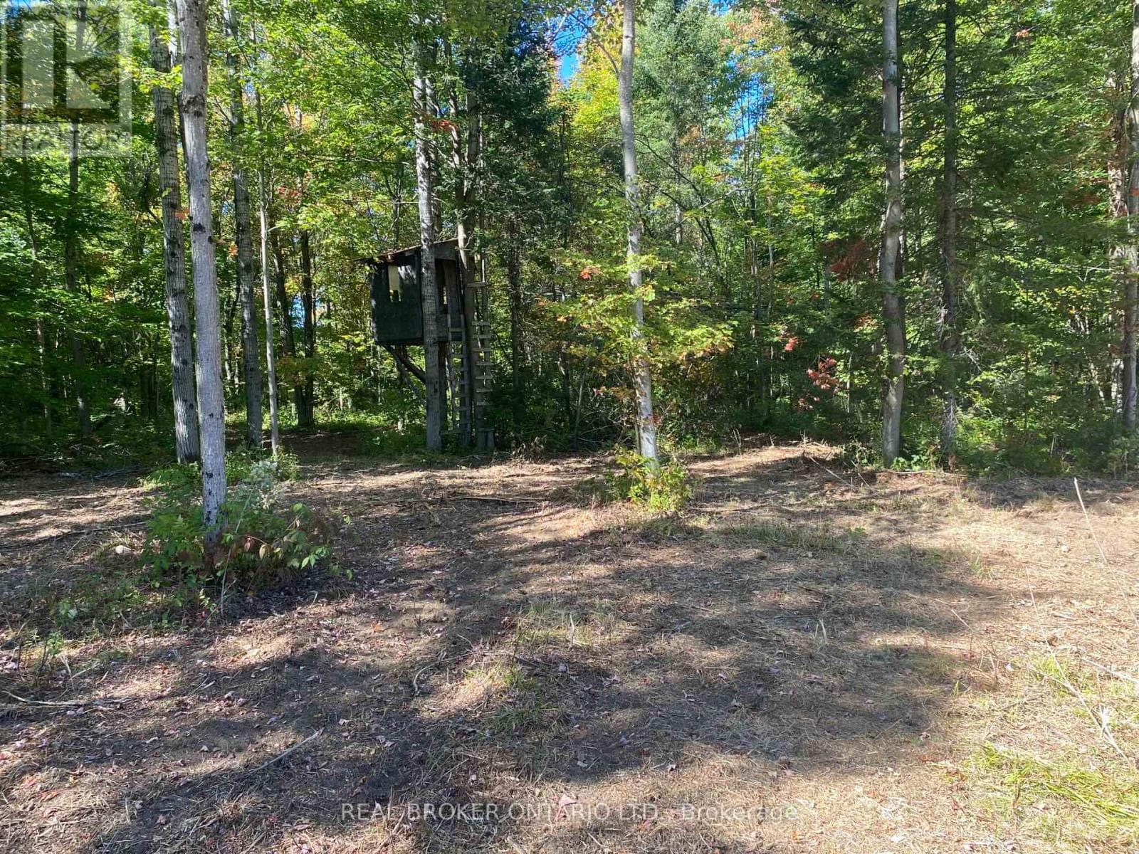 1248 BEIERS ROAD photo 4