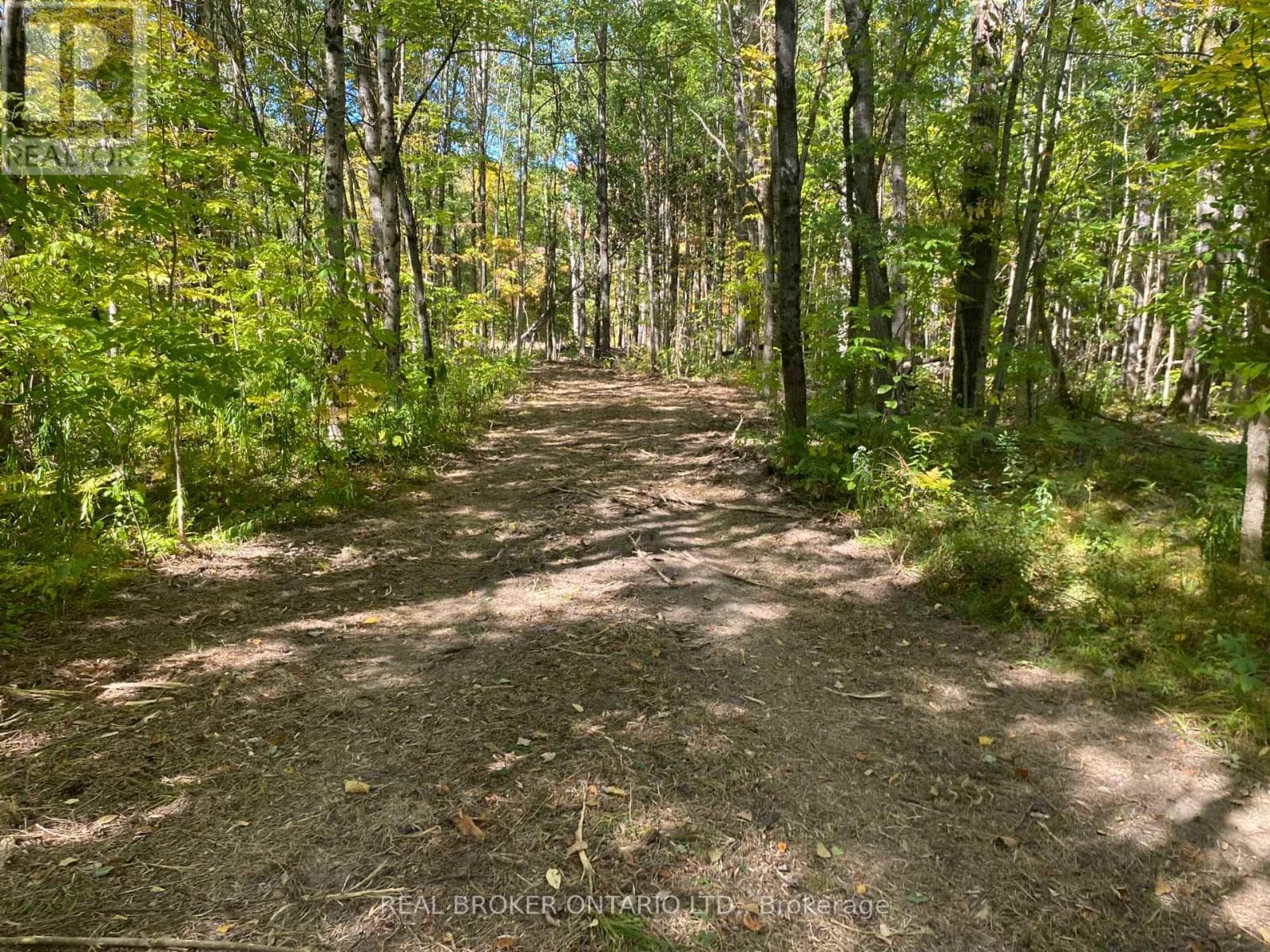 1248 BEIERS ROAD photo 5