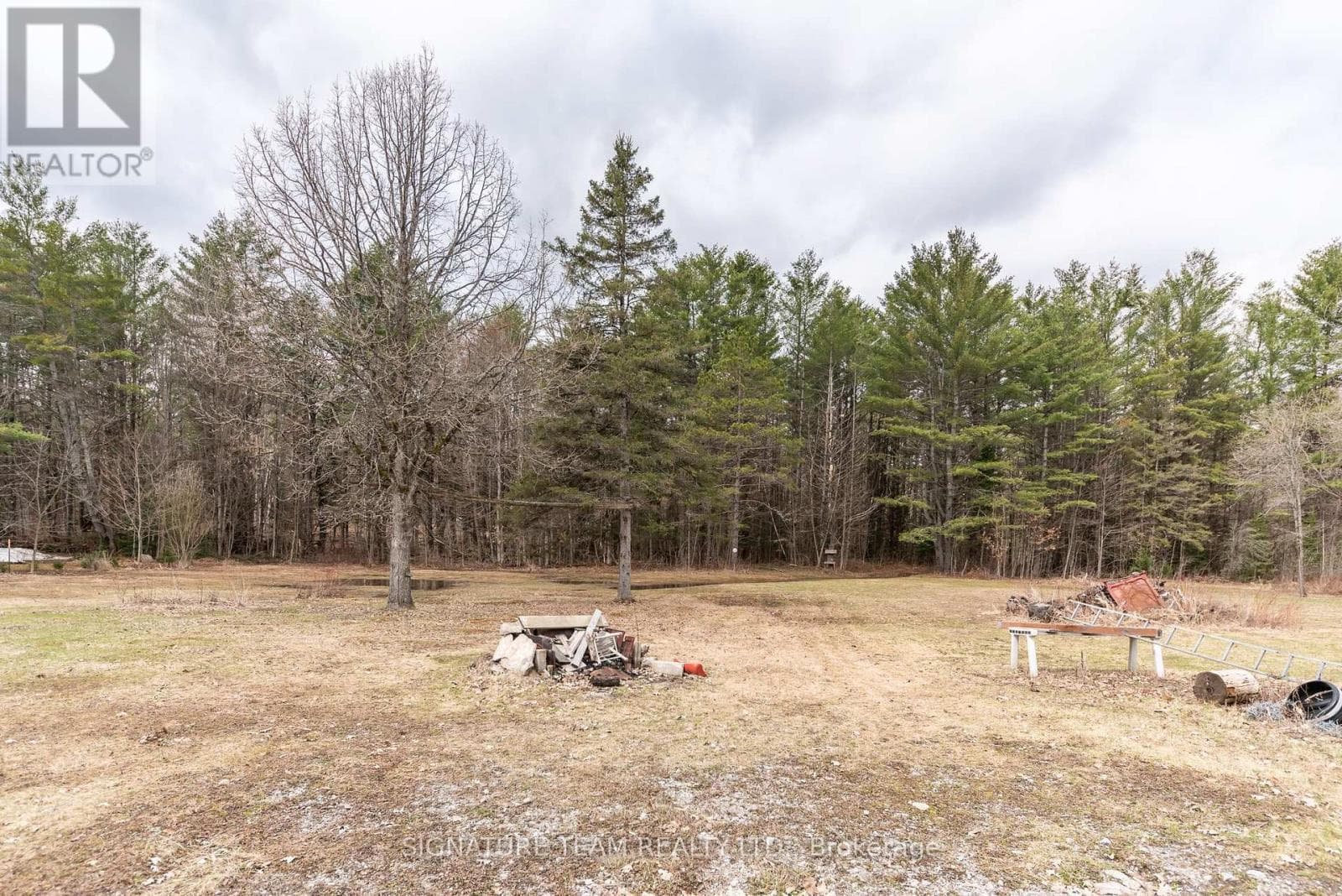 1131 WRIGHT ROAD photo 4