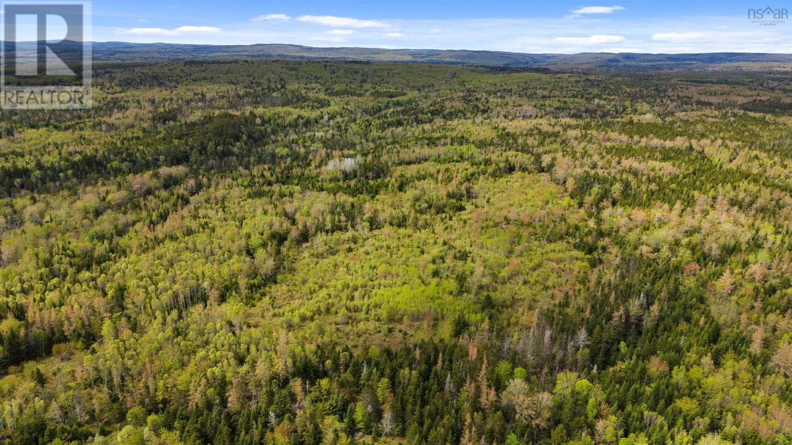 ONSLOW MOUNTAIN Road photo 4