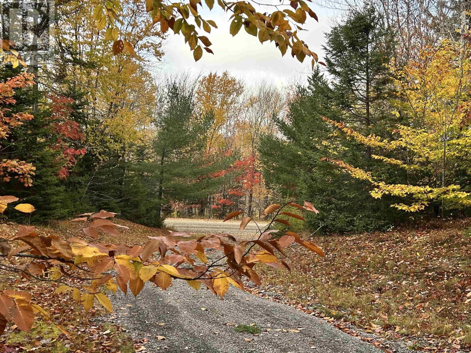 51 Lead Mine Road photo 2