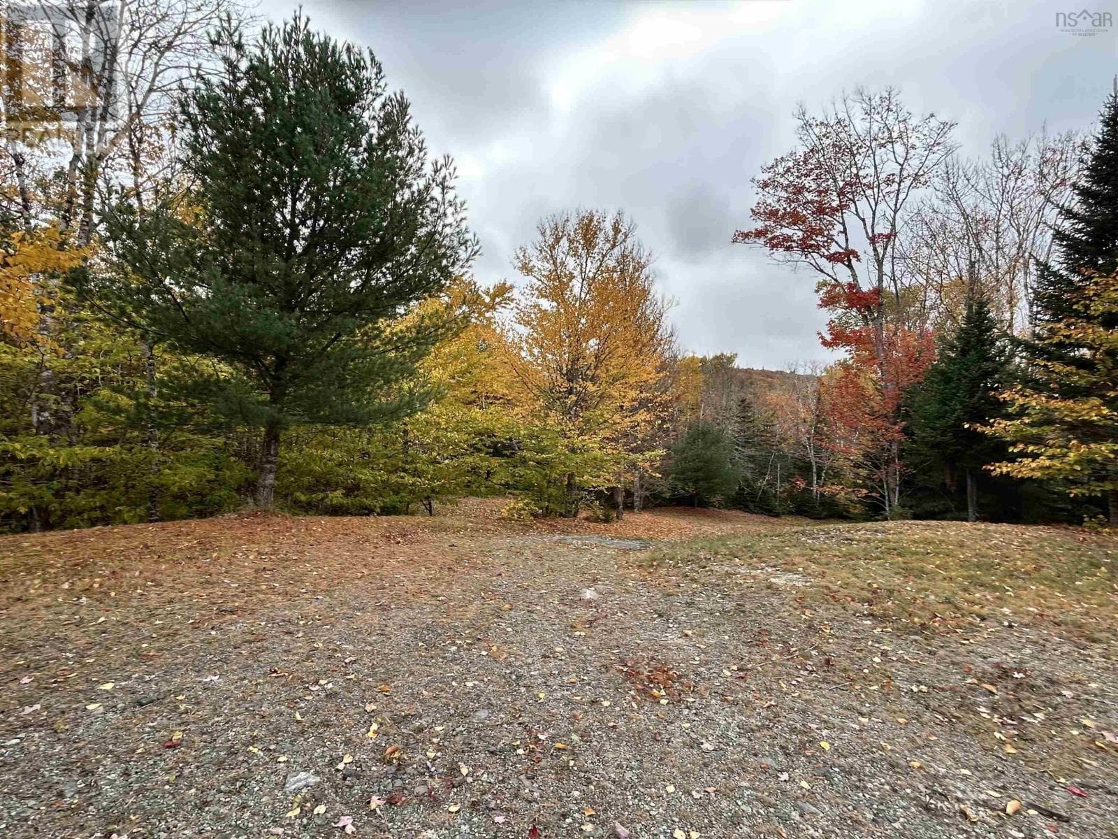 51 Lead Mine Road photo 5