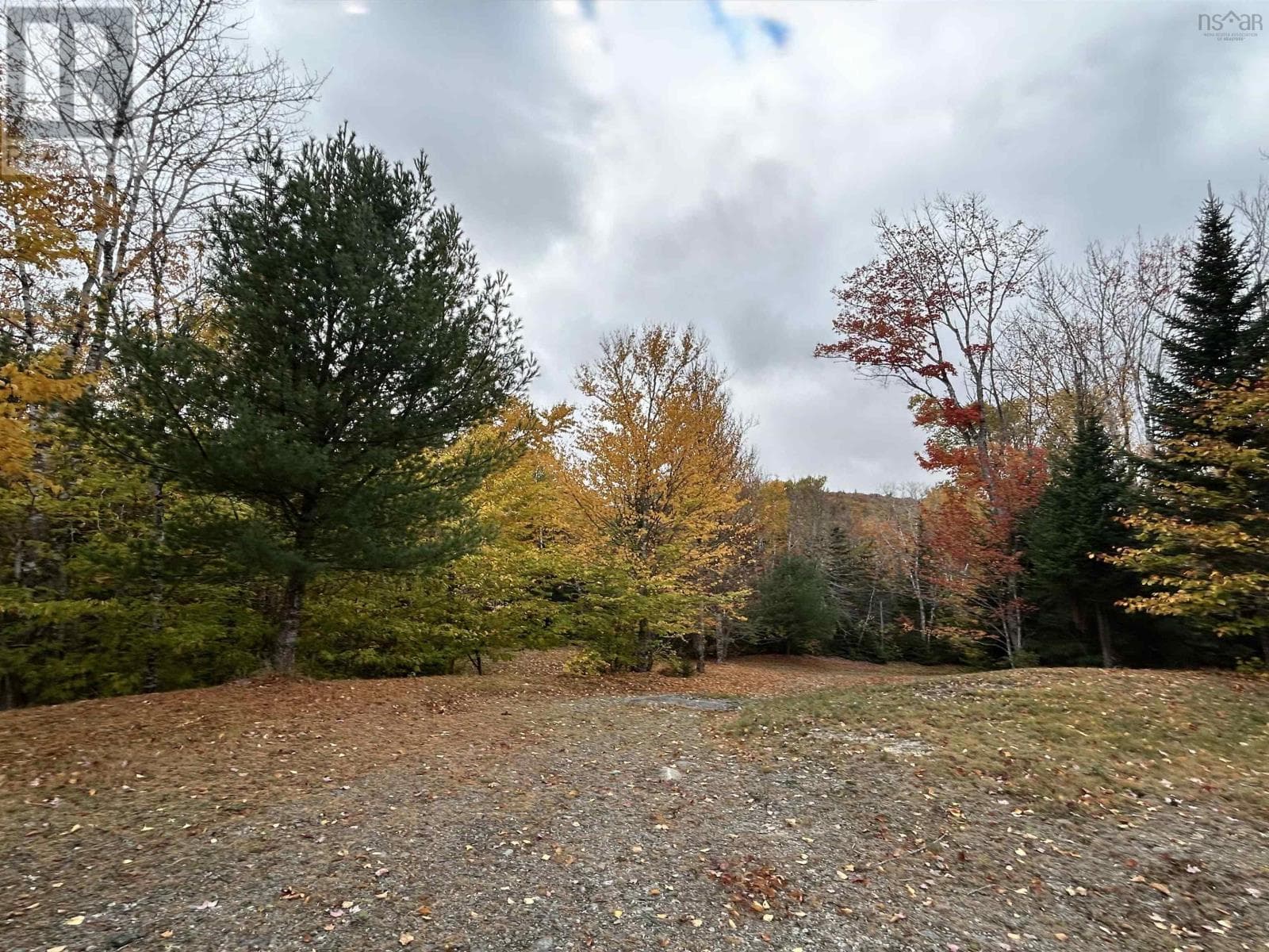 51 Lead Mine Road photo 3