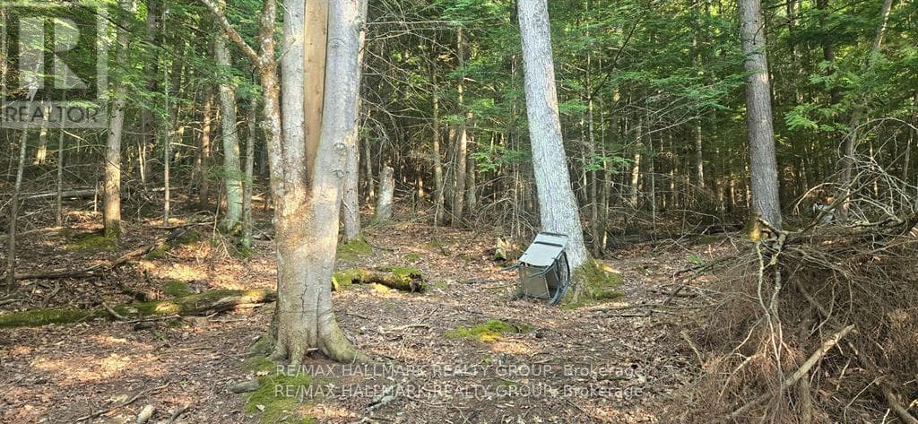 0 MADAWASKA RIVER photo 3