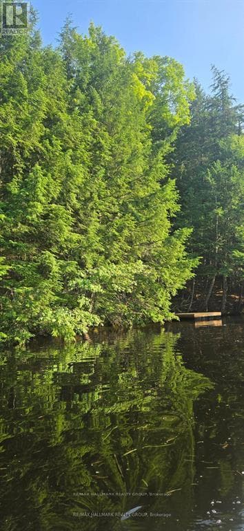 0 MADAWASKA RIVER photo 4