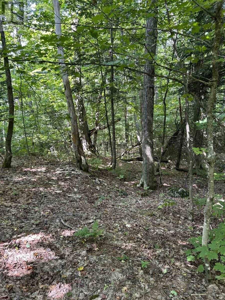 Creek RD photo 5
