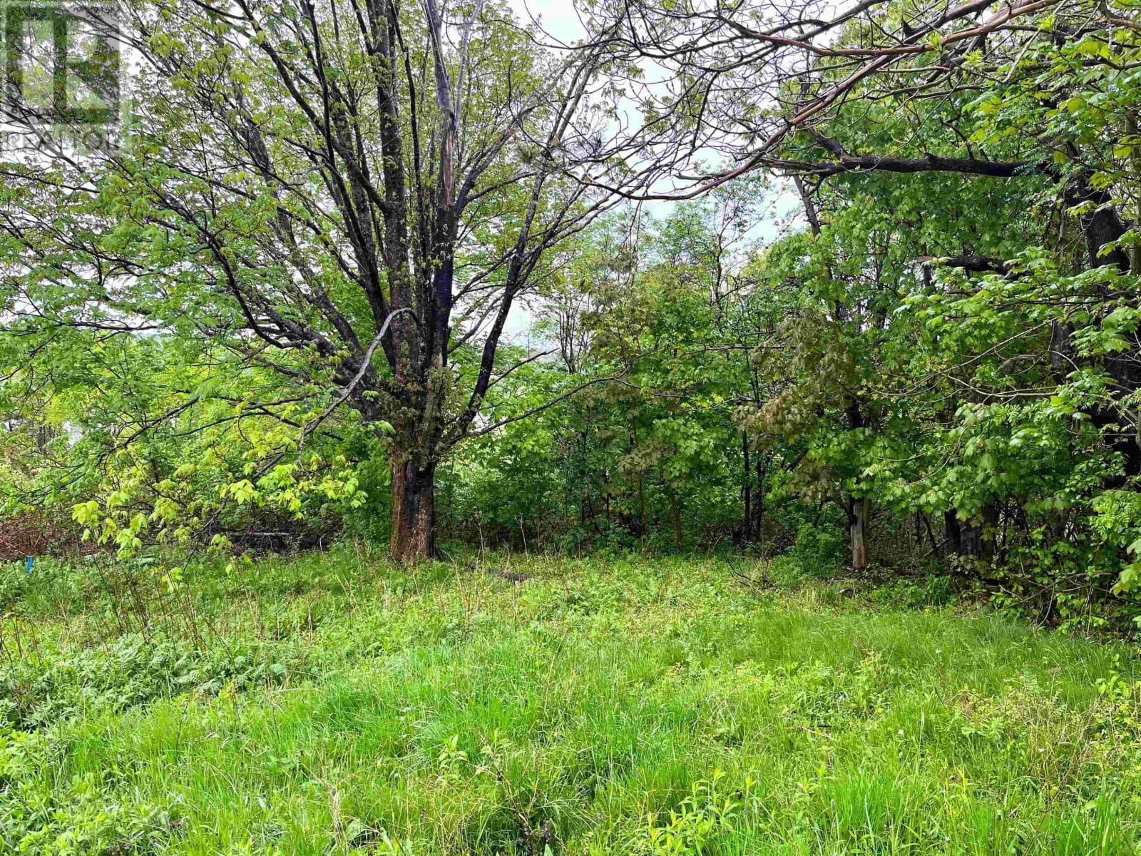Lot 8 Creighton Street photo 5