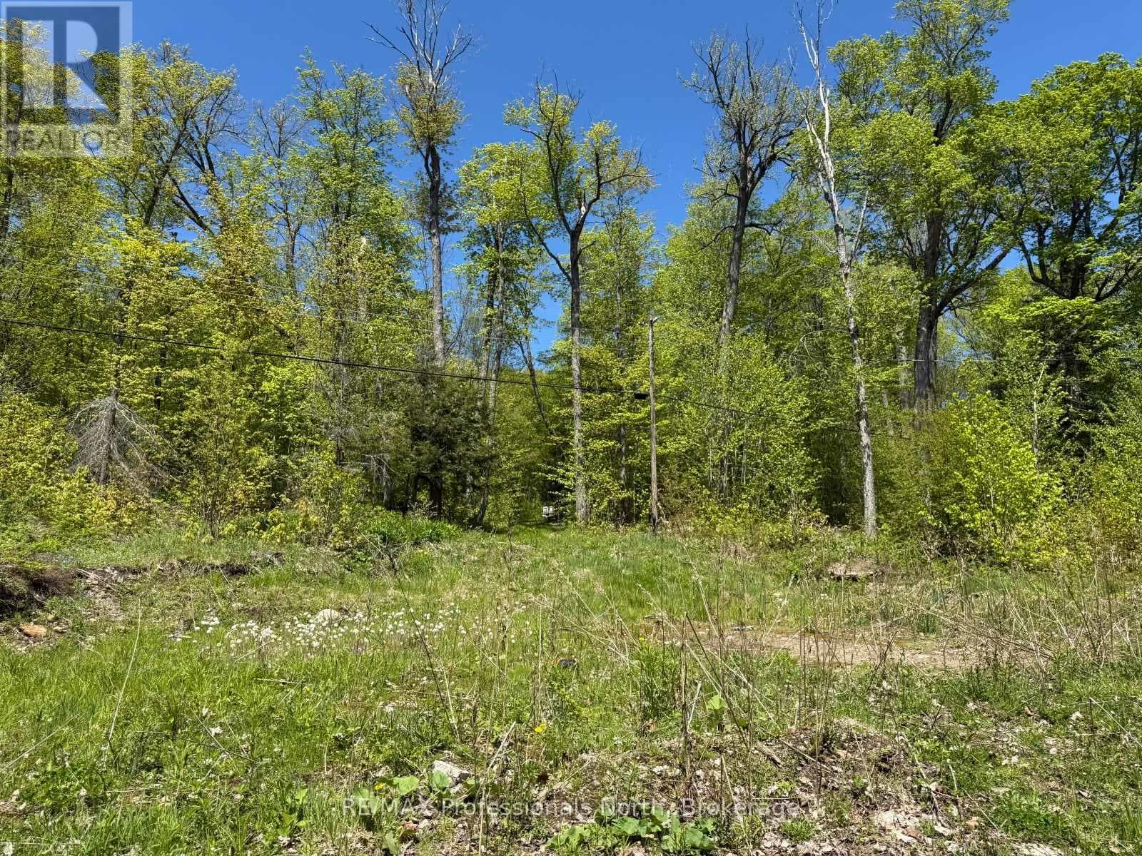 2612 WILKINSON ROAD photo 4