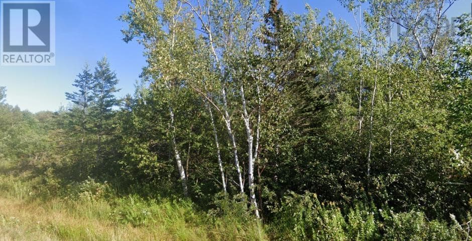Lot Shore Road W photo 3