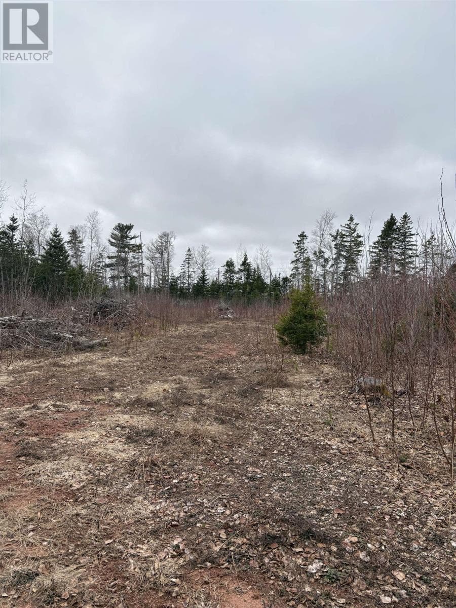 vacant land at Lot Louis Road — $35,000