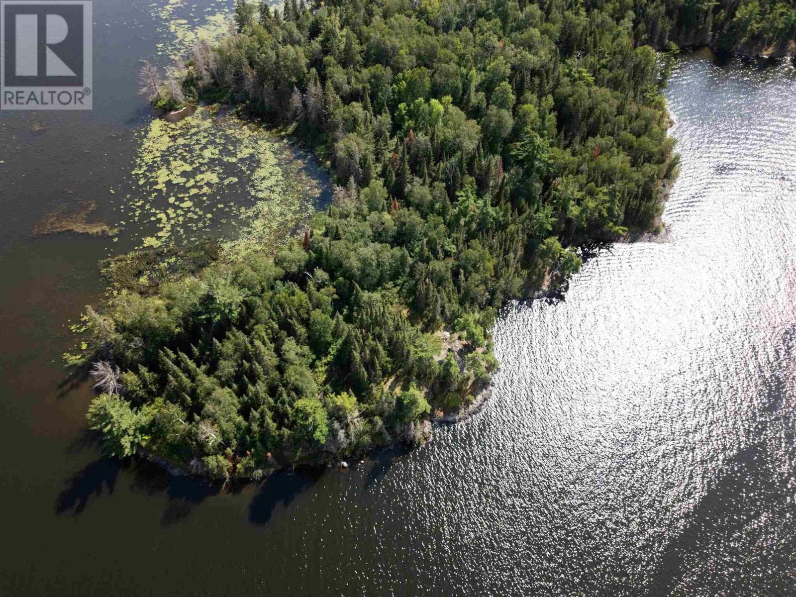 4 AND 11 DORION ISLAND LAKE OF THE WOODS photo 3