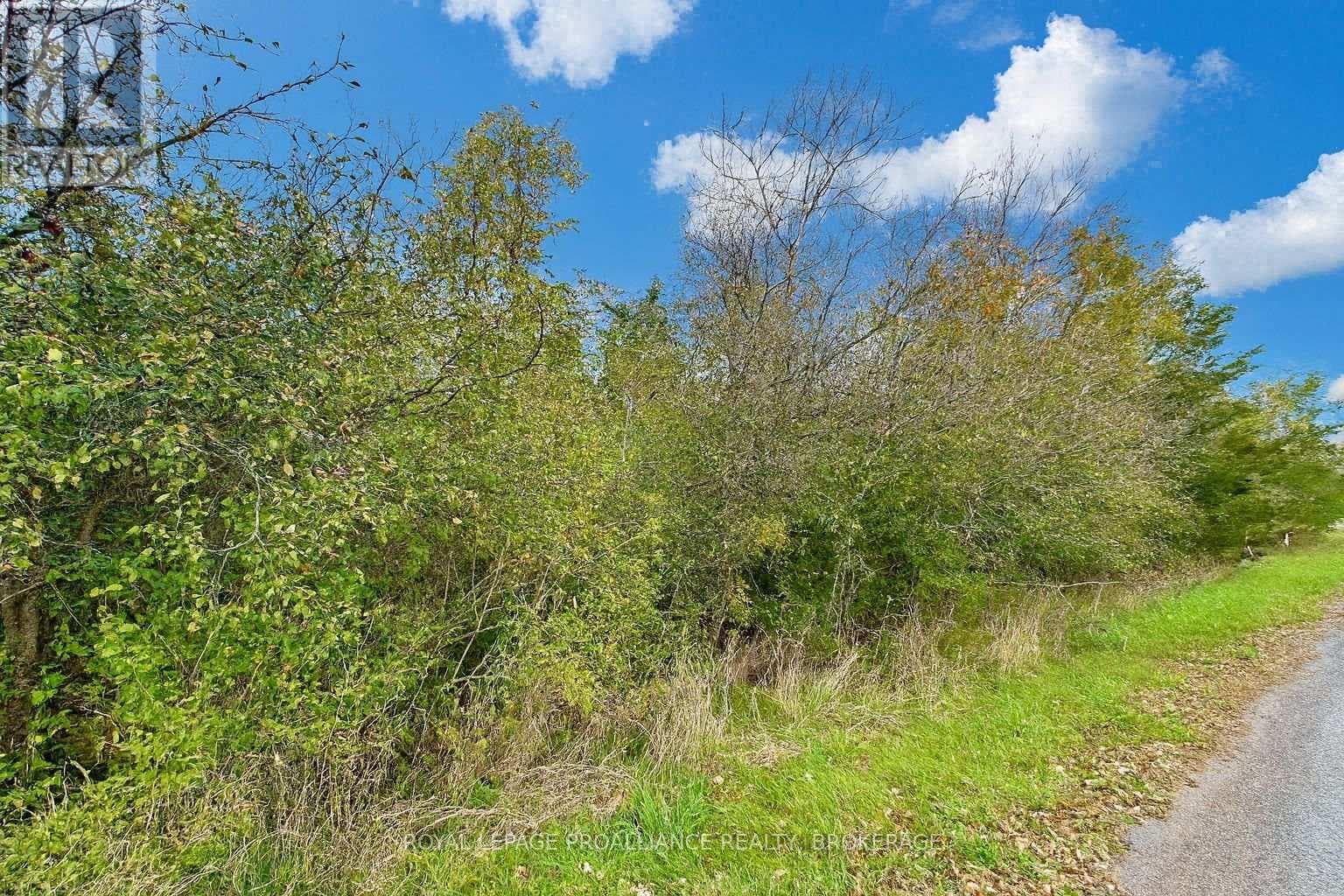 LOT 15 MARTIN DRIVE photo 3