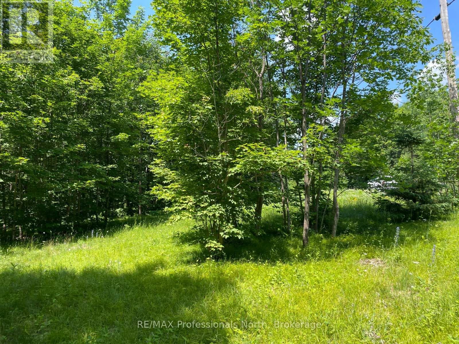 0 GLAMOR LAKE ROAD photo 2