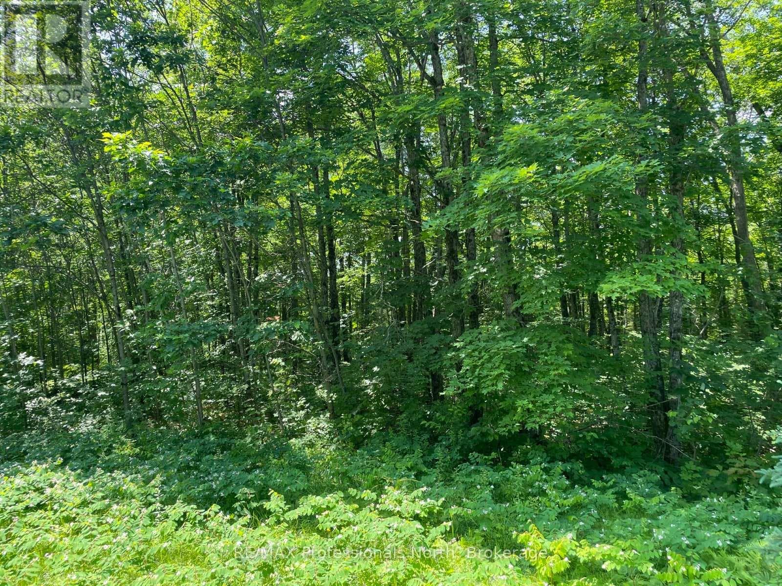 0 GLAMOR LAKE ROAD photo 3
