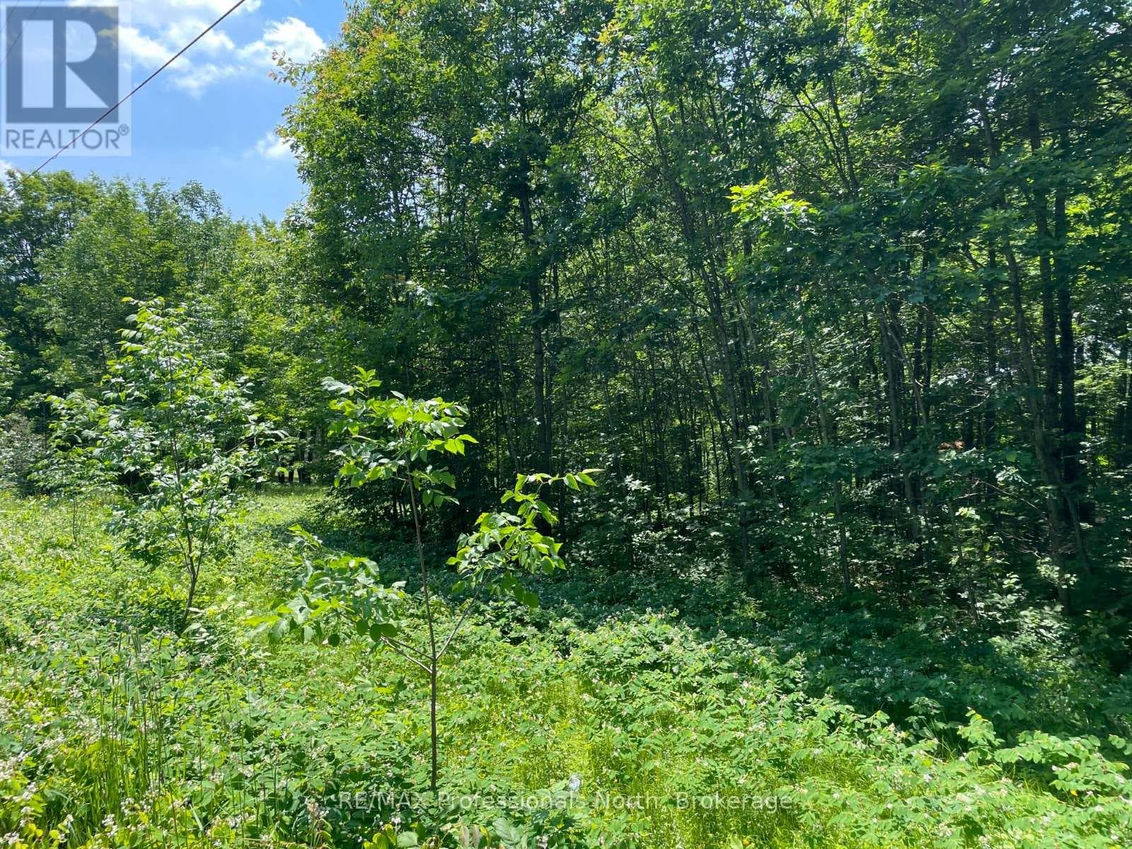 0 GLAMOR LAKE ROAD photo 4