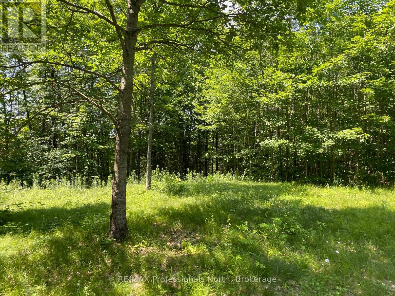 0 GLAMOR LAKE ROAD photo 5