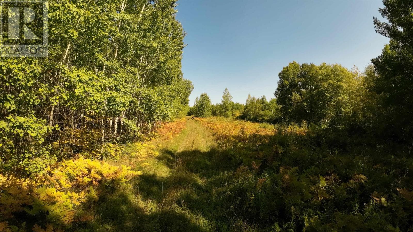 vacant land at PCL 46-3 GOVERNMENT RD — $199,900
