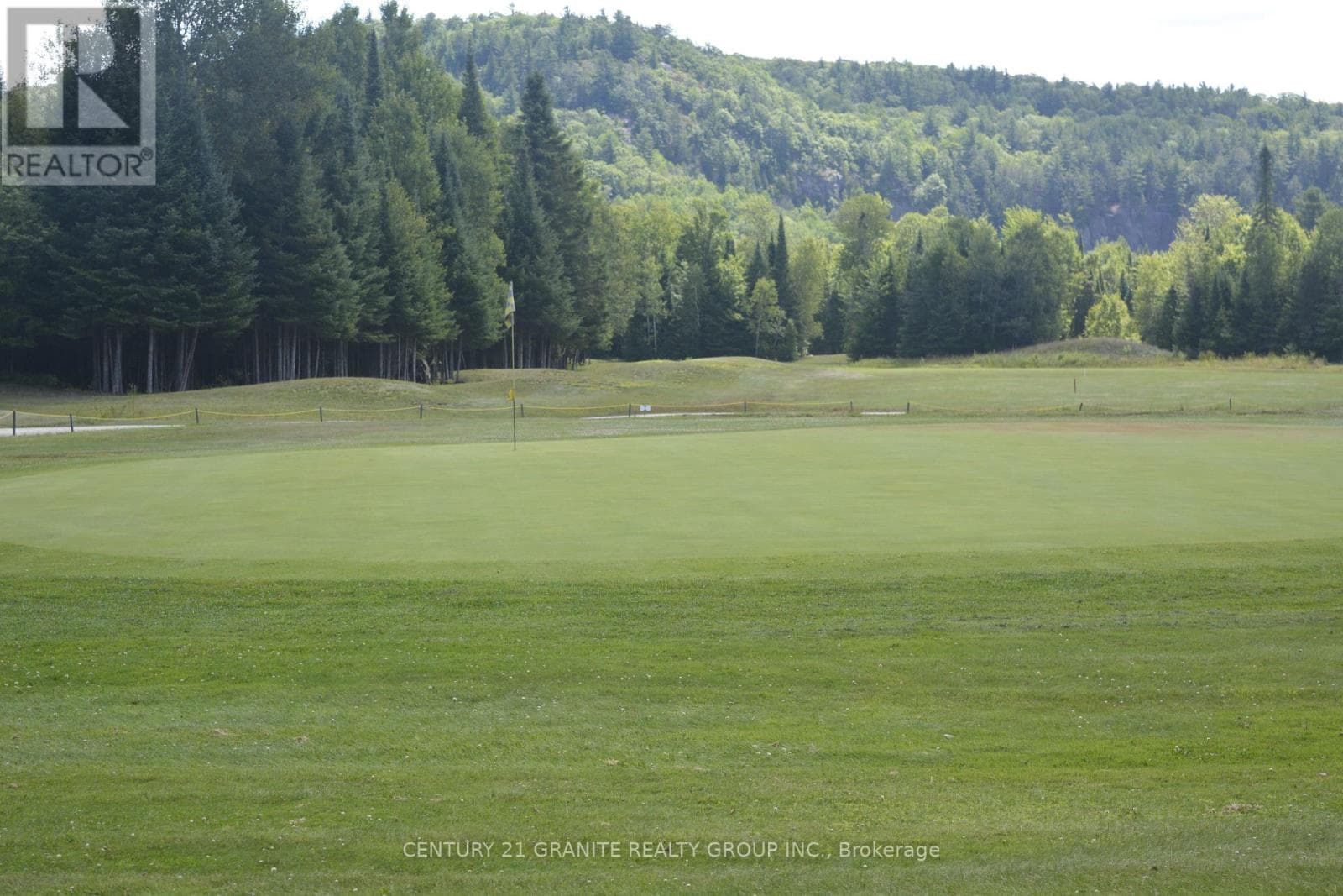 52 NICKLAUS DRIVE photo 5