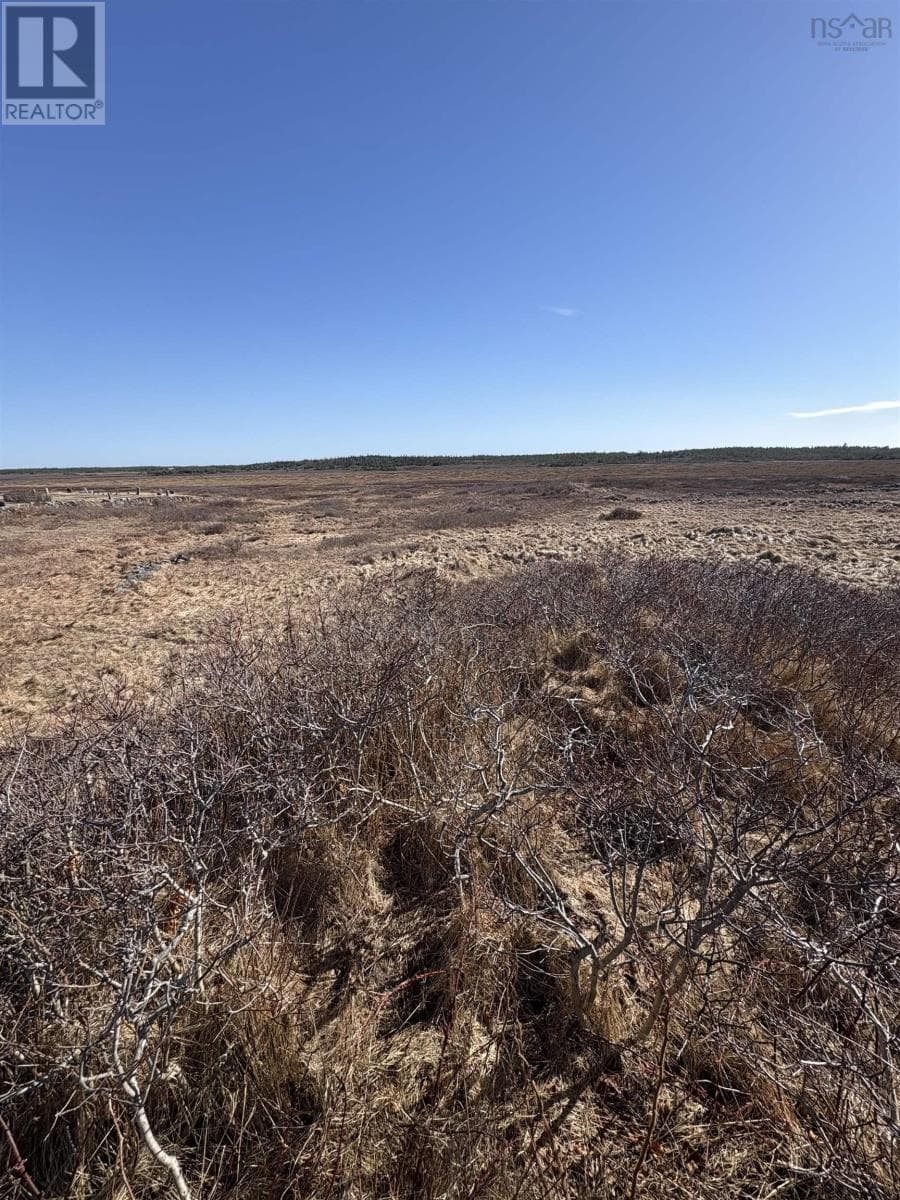 vacant land at Lot (PID 80062219) Baccaro Road — $49,000