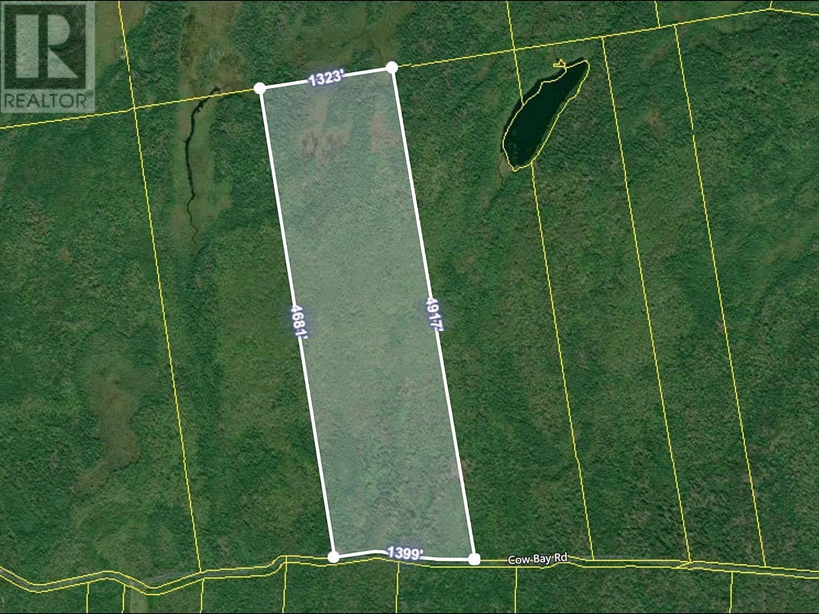 Cow Bay Road photo 4