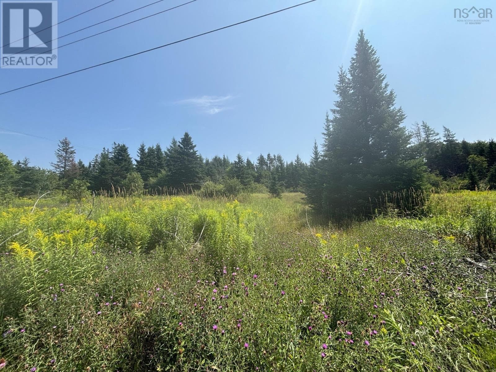 128 New River Road photo 3