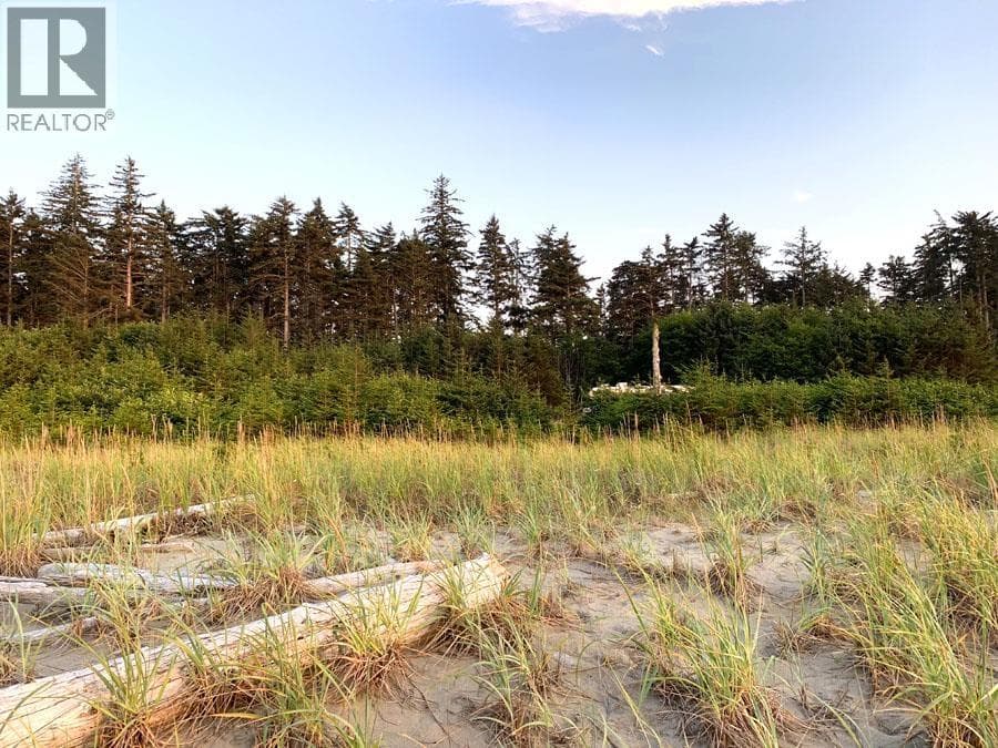 12531 TOW HILL ROAD photo 4