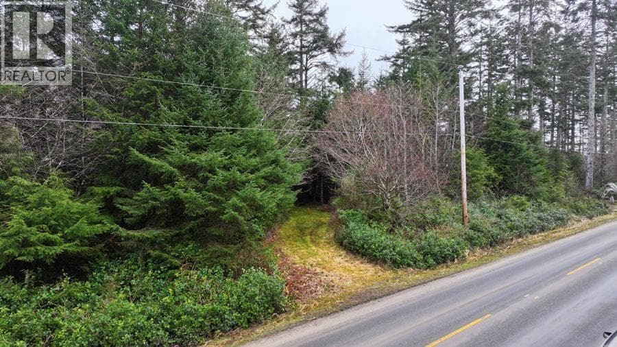 12531 TOW HILL ROAD photo 2