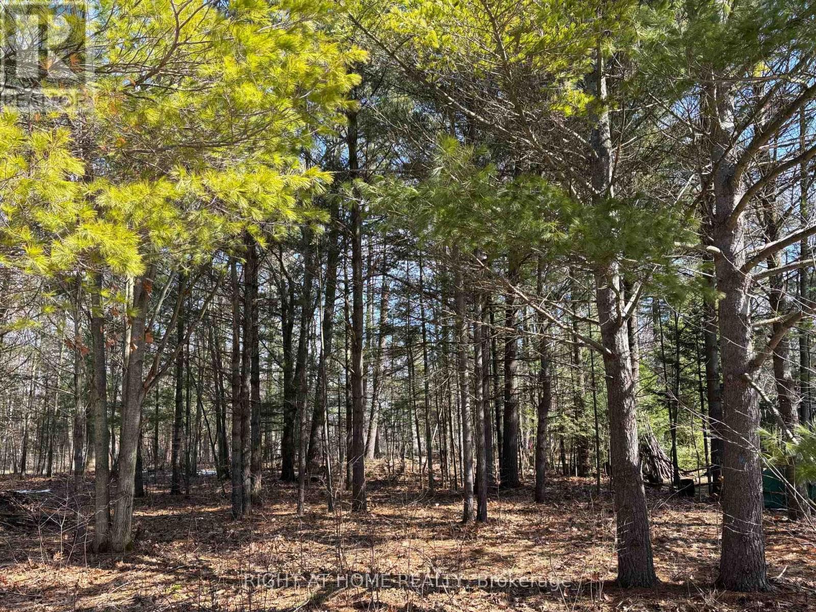 vacant land at 137 NICOLE BOULEVARD — $369,000