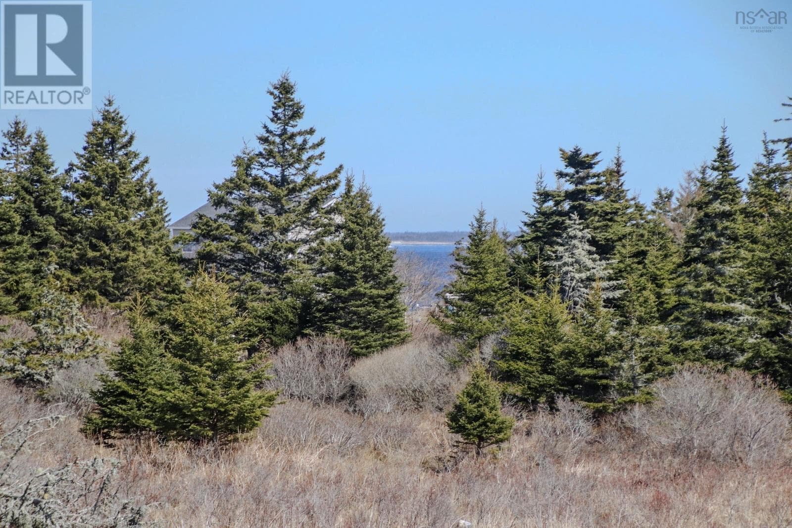 1057 Stoney Island Road photo 5