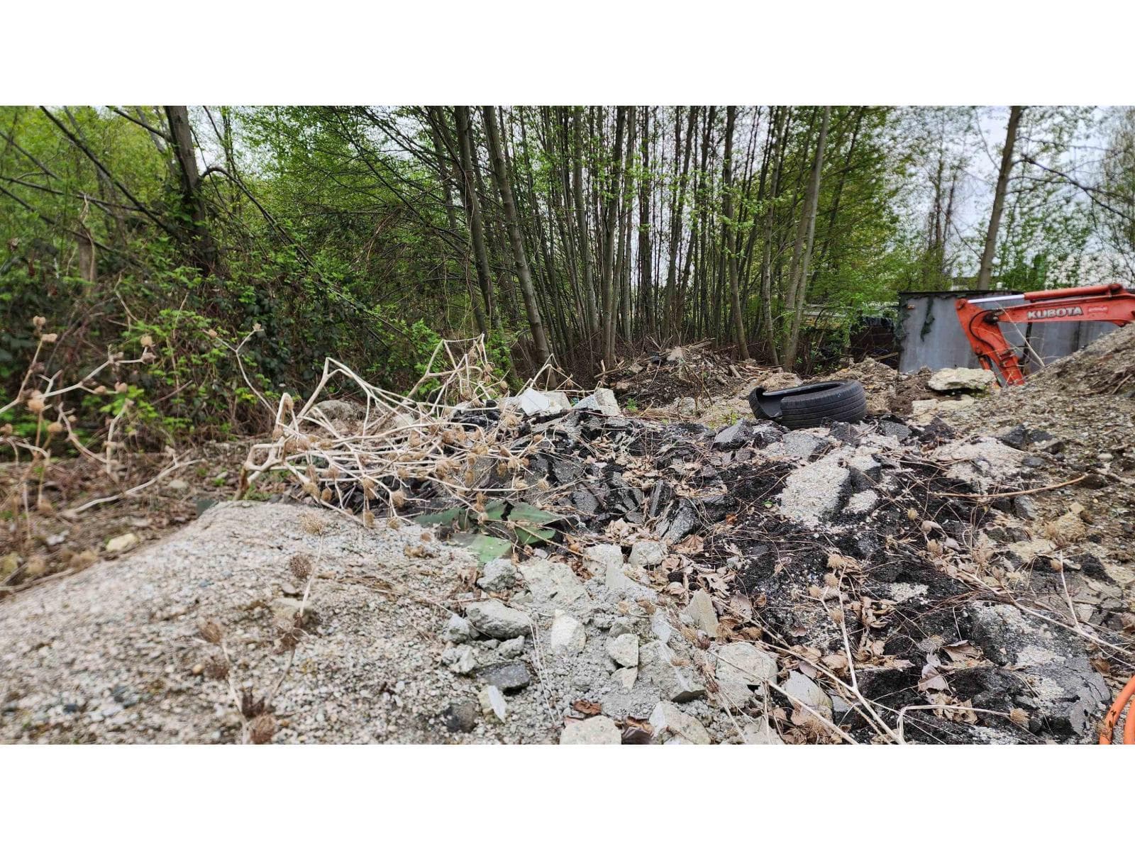 13848 117 AVENUE photo 2