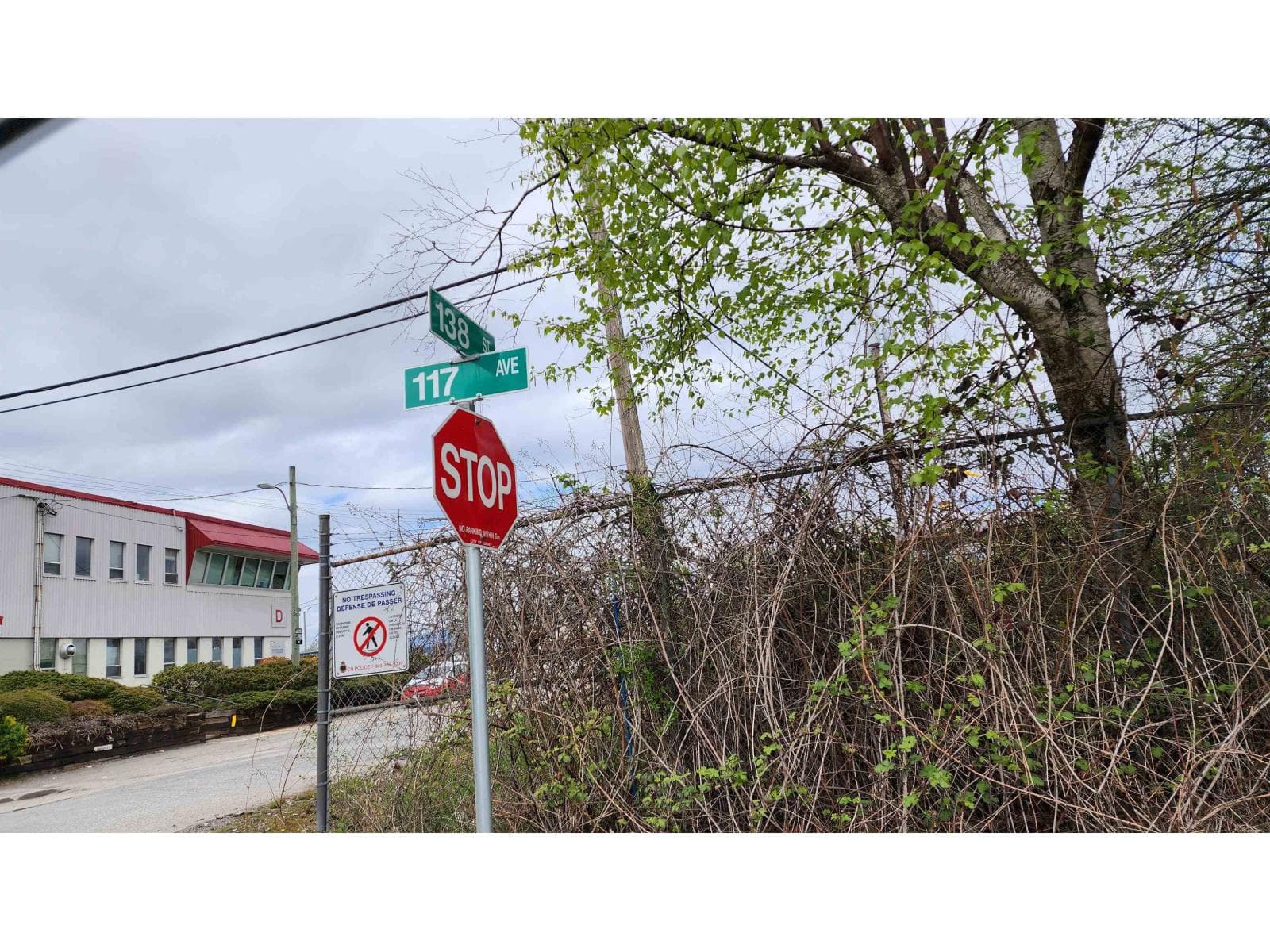 13848 117 AVENUE photo 5