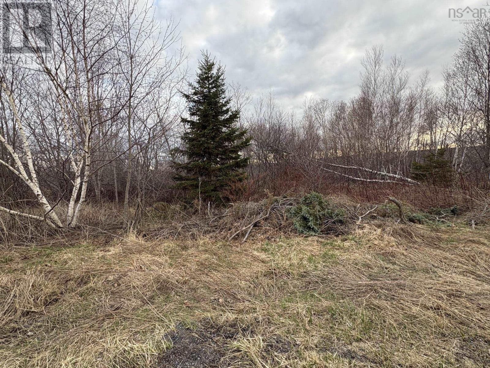 vacant land at Lot - Oak Street — $17,000