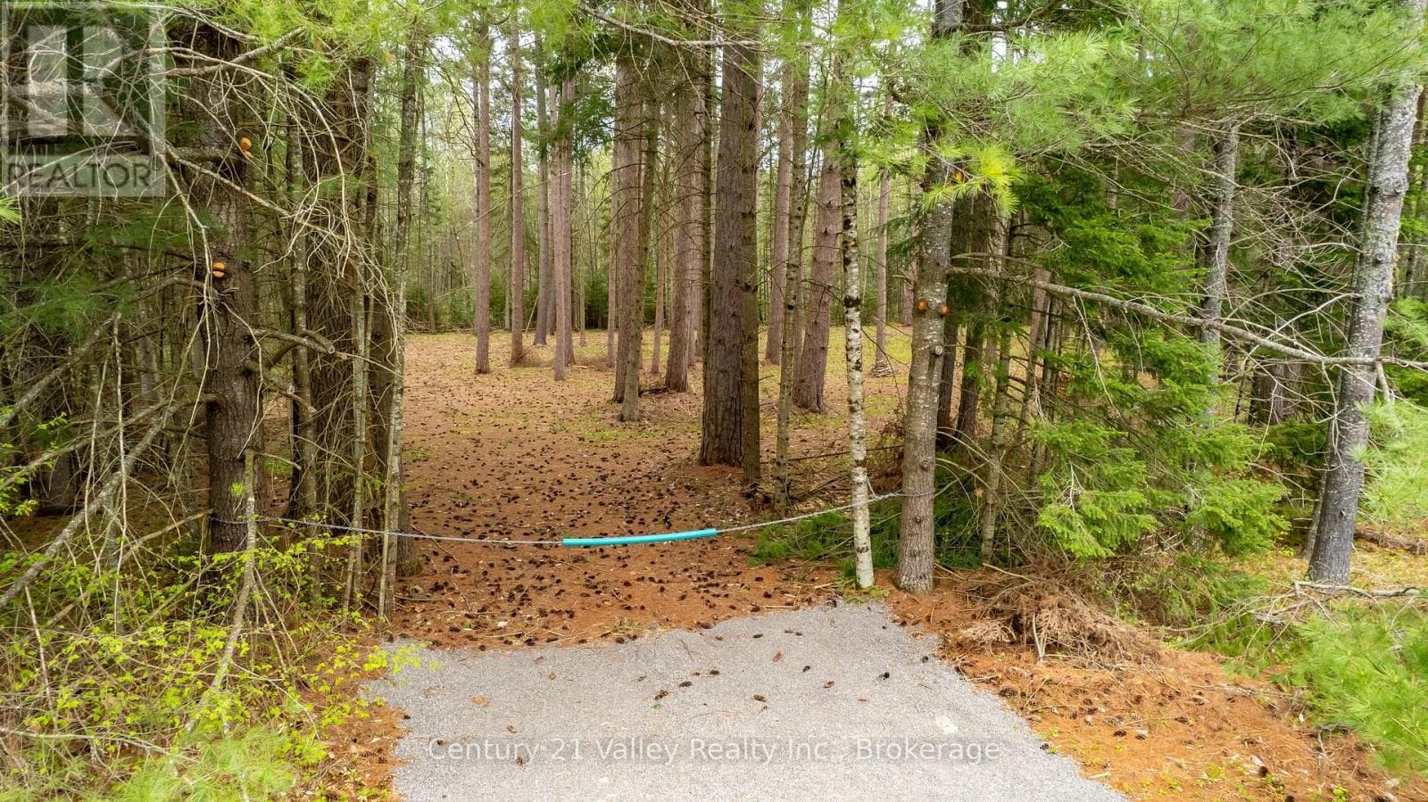 vacant land at 536 PINE STREET — $109,900