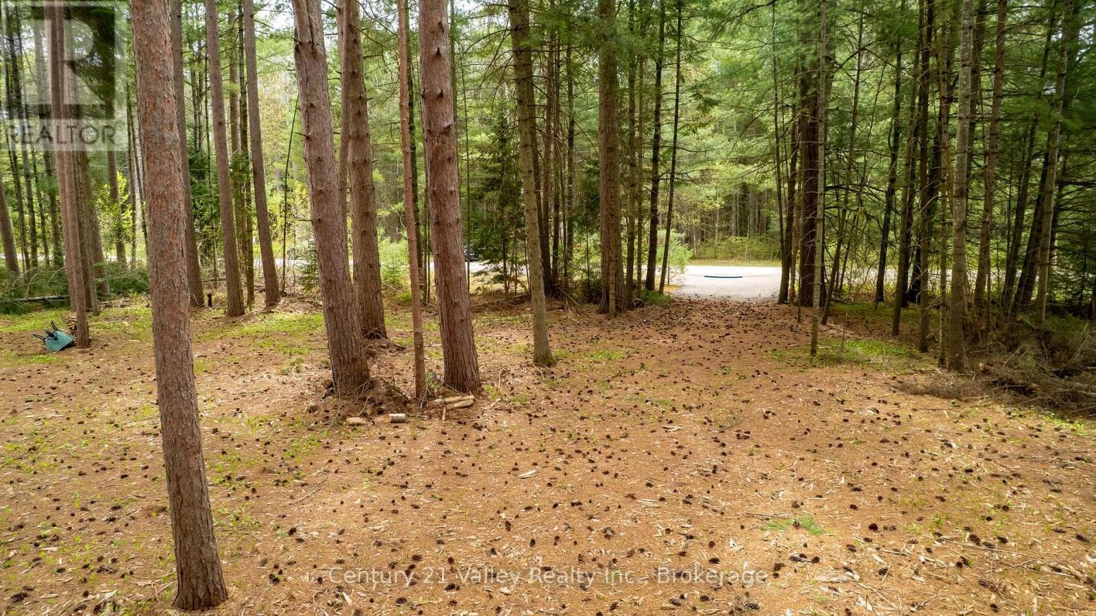 536 PINE STREET photo 3